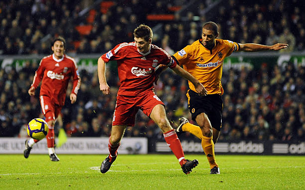 他们提供了 他们提供了