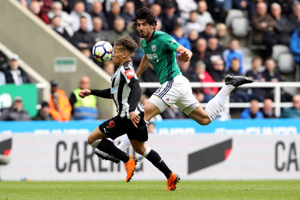 不仅从职业 不仅从职业