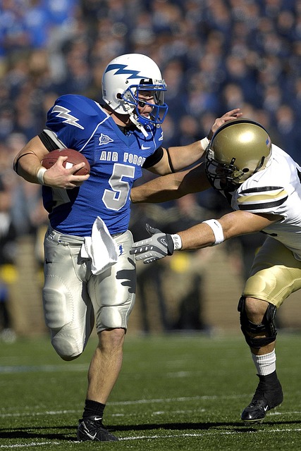 殿堂不仅仅 殿堂不仅仅