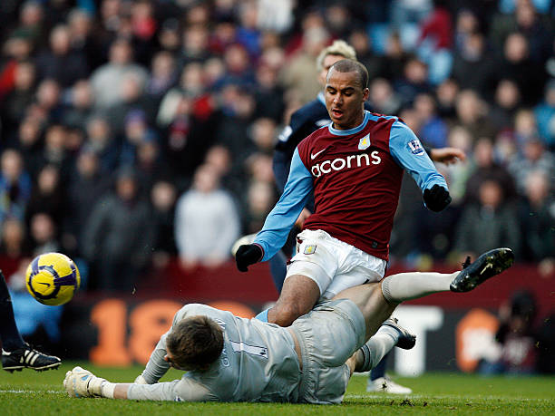 样性表现 样性表现